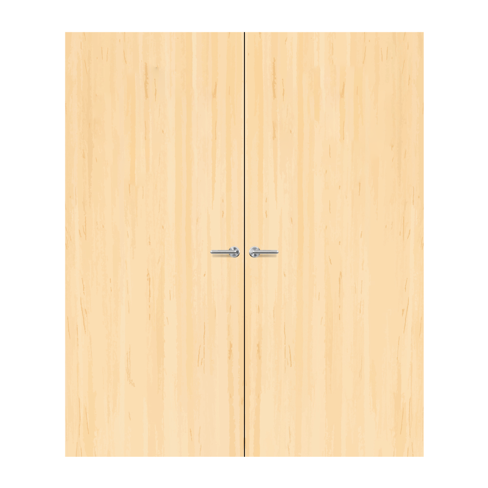 Ash Veneer Non Glazed Pair FD30 Internal Fire Door